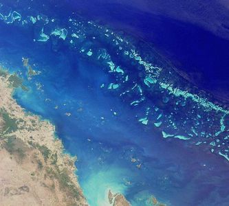 la-espectacular-barrera-de-corales-de-australia.jpg